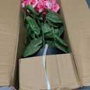 Briful Artificial Geranium Potted Plant  16 Tall, Realistic Silk Flowers with Vibrant Green Leaves, Pink White Geraniums Fake Flowers for Outdoors Home Dcor, Wedding Farmhouse Office Tables Decor