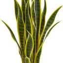 Nearly Natural 26 in. Sansevieria Artificial Silk Plants, Green