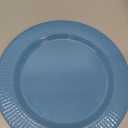 2 blue like round plates