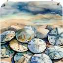 Caroline's Treasures Sand Dollars Wall or Door Hanging Prints Aluminum Metal Sign Kitchen Wall Bar Bathroom Plaque Home Decor Front Door Plaque, 12x16, Multicolor