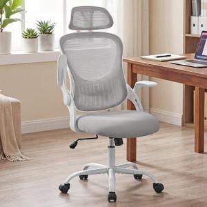 Computer Chair, Mesh Office Desk Chair with Lumbar Support, Flip-up Armrest