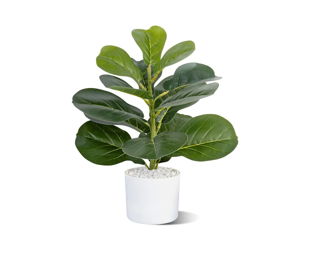 Artificial Fiddle Leaf Fig Tree, 22.8" Tall, Faux Ficus for Home Office Living Room Decor Aesthetic