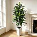 6FT Artificial Dracaena Tree with Tall White Planter - Large Fake Tree with Lifelike Leaves - Tall Faux Floor Plants for Indoor Outdoor, Artificial Trees Indoor for Home Office Room Decor