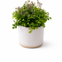 10" Fake Artificial Plant