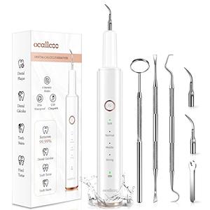 Plaque Remover for Teeth, Electric Tooth Cleaner Tartar Remover for Teeth with LED Light,4 Modes Rechargeable Teeth Cleaning Kit with Dental Tools, 2 Replaceable Heads (White A)