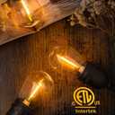 addlon 48FT LED Outdoor String Lights with 25 Edison Vintage Shatterproof Bulbs and Commercial Grade Weatherproof Strand - ETL Listed Heavy-Duty Decorative Lights for Patio Garden