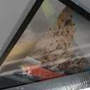 Trwcrt 8x10 Floating Picture Frame Set of 2, Double Glass Rustic Photo Frames Display up to 7 x 9 Photos for Tabletop or Wall Mount, Black