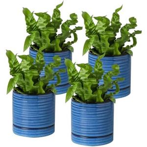 Hasense Small Plant Pots, 4.6 Inch Porcelain Planters with Drainage Holes and Tary, Mini Pots for Flower, Succulents, Cactus, Herbs, Modern Blue Decorative for Home Kitchen Office, Set of 4