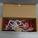 8.5ft Valentines Day Heart String Lights Plug in, Vintage Rattan Lights with 10 LED Red Pink Shatterproof Bulbs, Fairy Lights for Indoor Outdoor Home Decor Wedding Party Birthday, Warm White