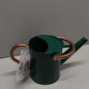 Metal Watering Can with Removable Spout, Galvanized Steel Plants Water Can for Women, Men and Kids' Outdoor or Indoor Gardening - Nice Flower Watering Pot Gift & Decoration (Green, 0.6 Gallon)