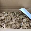 American Standard 6581001.020 Maybrook Universal Washout Top Spud Urinal, 1.0 GPF, White