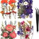 Nuanchu Dried Flower for Crafts Resin Pressed Flowers Bulk Dried Wildflowers Leave Natural with Tweezer for Resin Mold Scrapbooking Nail Soap Candle Making Cake Decorating DIY Christmas Craft Supplies (multi Color)