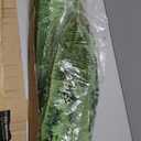 Artificial Boston Fern Bush- Set of 2 Large Artificial Ferns for Outdoors, 45Inch Large Faux Ferns, Suitable for Office & Living Room Decor, 55Branches for Each Bouquet