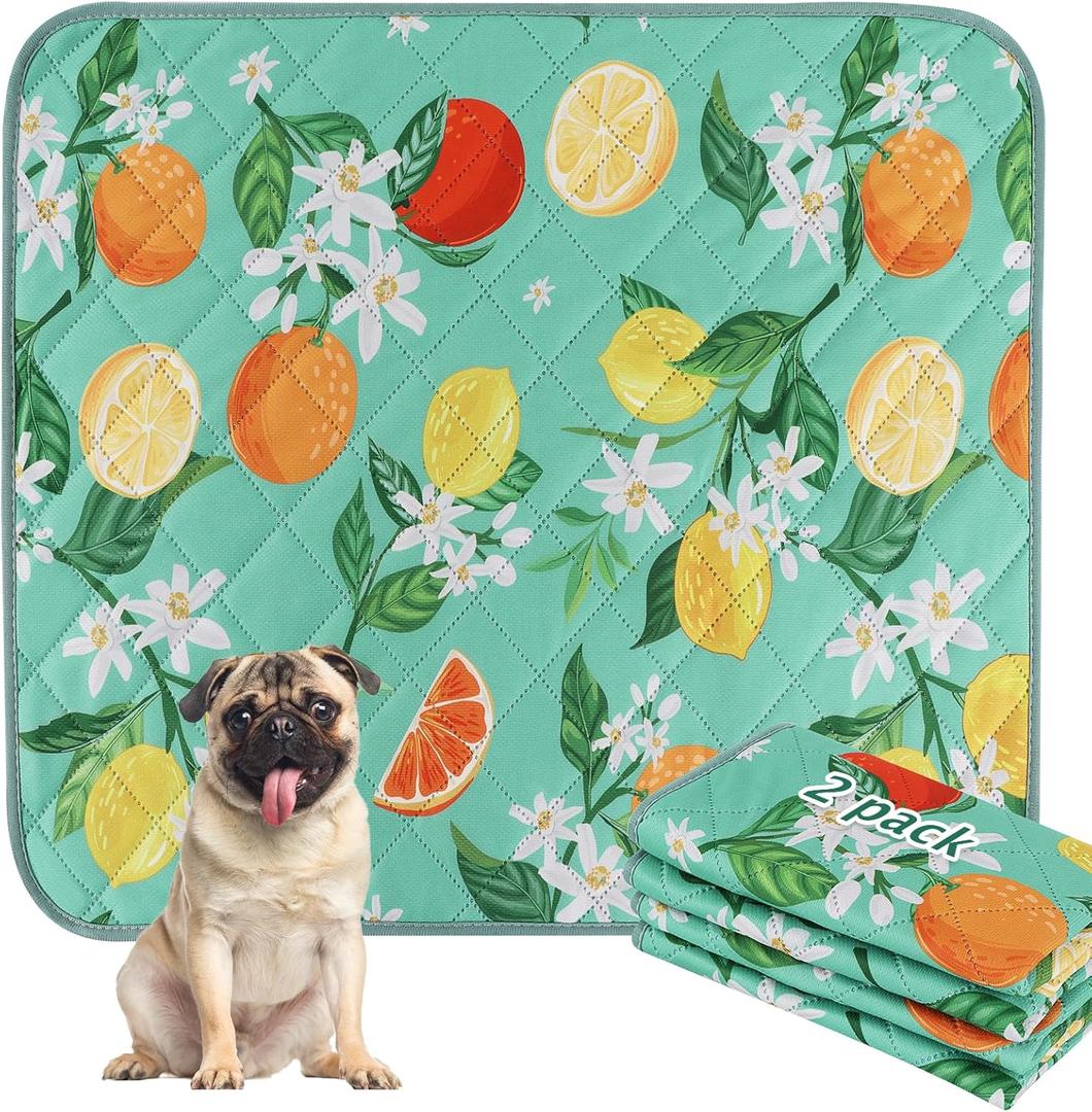 BVAGSS Washable Pee Pads for Dogs, 2 Pack Reusable Leakproof Puppy Wee Wee Pad, Non-Slip Waterproof Pet Training Pads, Super Absorbent Whelping Pads XH081 (Green Lemon, 36X24 Inch (Pack of 2))