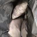 Bedsure Foldable Human Dog Bed - 2 in 1 Flexible Giant Human Dog Bed for Adult People with Supportive Bolster Egg Foam, Waterproof Liner, Calming Fluffy Faux Fur Orthopedic Big Bean Bed, Dark Grey