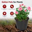 findmall Short 2 Gallon Premium Nursery Plastic Planter Flower Herb Vegetable Garden Grow Pots with Drainage Holes for Outdoor and Indoor Use, Black, 10 Pack, Short 2 Gallon-10 PCS