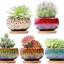 Cute Ceramic Succulent Garden Pots, Planter with Drainage and Attached Saucer, Set of 4 -Plants Not Included (Round)