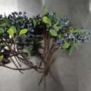 FiveSeasonStuff Versatile Artificial Holly Blue Berry Branches: Set of 20 for Stunning Decor