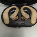 Royal Hearing F-AID Bluetooth Hearing Aid W/ Rechargeable Case Brown