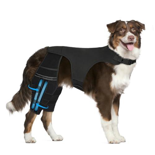 Marnonsis Dog Leg Braces for Back Leg, Adjustable Dog Knee Brace for Torn Acl Hind Leg with 4 Stabilizers, Hip Support to Reduces Pain, Ligament Injuries, Luxating Patella, 2XL