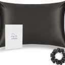 ALASKA BEAR Silk Pillowcase for Hair Care Gentle Mulberry Silk Anti Face Skin Wrinkle Pillow Slip Cover Standard Size with Concealed Zipper (1pc, Charcoal) (Standard 20''x26'', Brownish Charcoal)
