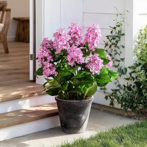2 Pack Large Artificial Hydrangea Plants UV Resistant Fake Plastic plantas Flowers Trees Indoor Outdoor Realistic Floor Plants Faux Tree for Home Porch Garden Office Porch Patio Front Bonsai Decor (26 IN Pink, 9 Heads)