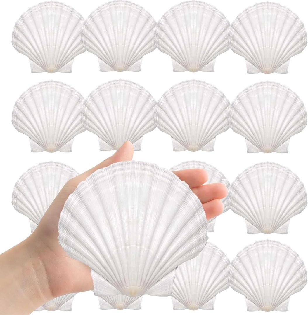 Large Natural Sea Shells 4''-5'' White Scallop Shells 8PCS for DIY Craft Making, Baking, Hand Painting, Ocean Themed Party and Home Decor