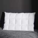 Three Geese Ultra Thin Flat Goose Down Feather Pillows for Sleeping Queen Size, 2.5" Height, 100% Cotton Cover, Ultra Slim Hotel Collection Bed Pillow for Stomach, Back Sleeper, 18x30 in.