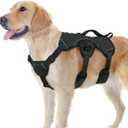 rabbitgoo Escape Proof Dog Harness, Soft Padded Full Body Pet Harness, Reflective Adjustable No Pull Vest with Lift Handle and Leash Clip for Large Dogs Walking Hiking Training, L, Black