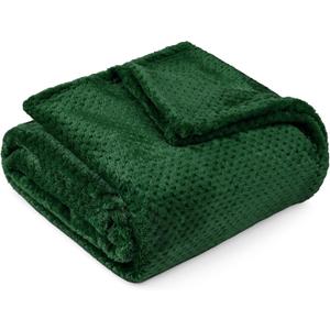 PAVILIA Emerald Green Throw Blanket for Couch, Twin Bed, Soft Fleece Throws for Sofa Chair, Fuzzy Waffle Textured Blanket, Cozy Warm Lightweight All Season Blanket Throw, 60x80 (60 x 80 Inches - Twin)