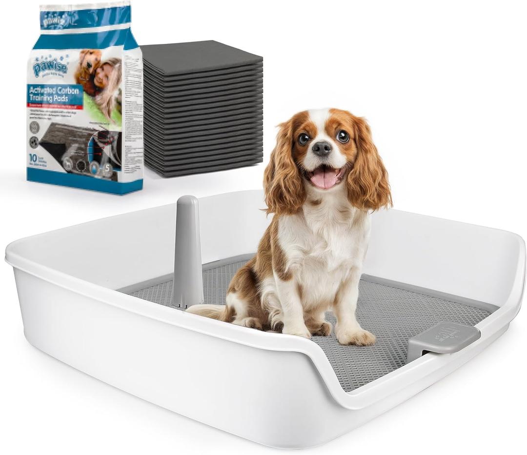 ALL FOR PAWS Dog Potty Tray Indoor Dog Pee Pad Holder Toilet Puppy Litter Box with Removable Post, Raised Sides, Large Space, Shed Proof & Mess Free, Easy Clean-up, Great for Large Size Dogs