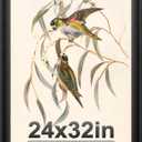 24x32 Poster Frame Black with Black Back Board, Curved Extra Wide Edges, Vintage Style Poster Frame 24x32 for Wall Decor.