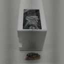 Globe Electric Vintage 1-Light Matte Black Hurley Wall Sconce