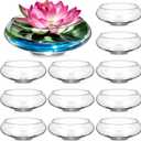 Baderke 12 Pcs Hydroponic Planter Lotus Flower Pot Planter Lotus Bowl Clear Glass Fish Bowl Vase for Planting Indoor Home Decor Water Lily Narcissus Planting Water Lily (7.09in)
