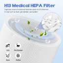 Premuim Replacement Filter Compatible with Blue Pure 511 Air Puri-Fier, 2-in-1 Filters with Particle and Activated Carbon 2 Packs