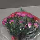 HyeFlora Artificial Faux Outdoor Outside Flowers Plants for Spring Decor, Fake Silk Colorful Camellia UV Resistant Look Real for Planter Front Door Porch Patio Balcony Decoration, 3 Large Bundles