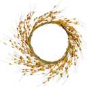CWI Gifts Flower Twig Wreath Rings - 22 inch - Wreath Decor for Front Door and Candle Decorating - Wispy Orange Buds