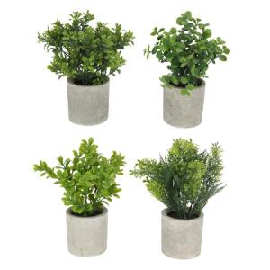 Greenery In Pot - 22cm