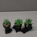 Der Rose 3pcs Fake Succulents Plants Artificial for Black Bathroom Bedroom Home Living Room Halloween Decor Aesthetic Indoor