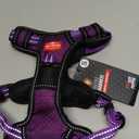 Tuff Pupper Escape Proof No Escape Dog Harness | 5 Point Adjustable Fit Harness for Dogs | Padded Dogs Harnesses | Handle Dog Lift Harnesses (Medium, Purple)