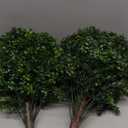 Chillchard Set of 2 Artificial Boxwood Ball Trees for Outdoor with Spike, UV Resistant Faux Topiary Ball, Fake Plants Greenery Round Shrubs Bushes for Entryway Front Porch Decor