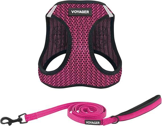 Voyager Step-in Air All Weather Mesh Harness and Reflective Dog 5 ft Leash Combo with Neoprene Handle, for Small, Medium and Large Breed Puppies by Best Pet Supplies - (Fuchsia 2-Tone) Trim, X-Large (XL (Chest: 20.5 - 23"))