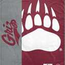 Pegasus Sports NCAA Endzone Ultra Soft Tailgate Throw, 50 in x 60 in