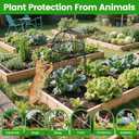 Chicken Wire Plant Covers,2012.6in Large Size Rust-Proof Plant Cages for Outdoor Plants, Flip-top Design for Easy Assembly,Rugged,Plants Protectors from Animals, 6-Pcs