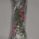 Pack of 4 Artificial Frosted Pine Branches with Red Berries 17" Snowy Christmas Tree Picks Winter Greenery Sprays White Fake Cedar Holly Berry Stems for Vase Fillers Craft Wreath Holiday Dcor (Red)