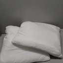 18 x 18 inches Pillow Inserts, Set of 4 Hypoallergenic Brushed Microfiber Liner Down Alternative Filled Square Cushion Throw Pillow