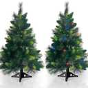 2 Pack 3.5 FT Artificial PE Fraser Fir Christmas Entrance Tree with 50 Multi Color Change Light 8 Mode Remote Control Realistic-Feel Xmas Tree Decor Battery Operated for Porch Front Door Home