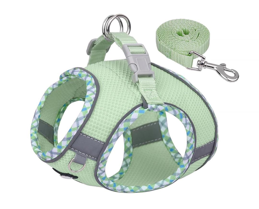 AIITLE Tiny Dog Harness - Lightweight Mesh Step-in Vest for Puppy, Reflective & Escape-Proof Design with High-Stick Magic Tape - Indoor/Outdoor Use for Chihuahua, Maltese, Shih Tzu(Sage, XXXS) (Chest: 8.5 - 10")