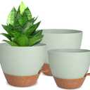 Planters for Indoor Plants, 10/9/8 Inch Self Watering Plant Pots with Drainage Hole, Plastic Planters Flower Pots for Indoor Outdoor Plants (Green)Color: Green-3pack,  Mkouo Macrame Plant Hangers Indoor Hanging Plant Basket Flower Pot Holder, Cotton Rope with Beads and Without Tassels 35 inch,  3 hook