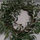 Plant Wreathe 14in